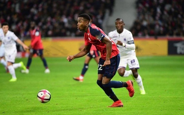 黎的多点进 黎的多点进