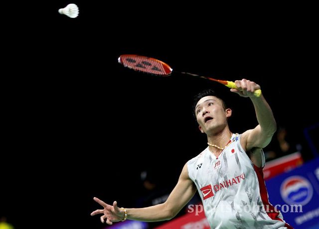 他的经验 他的经验