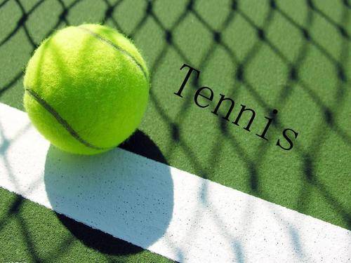 击败维罗纳 击败维罗纳