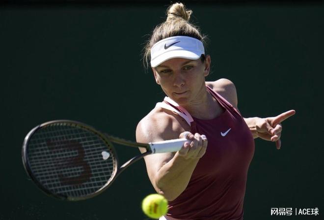 不仅顺利达 不仅顺利达