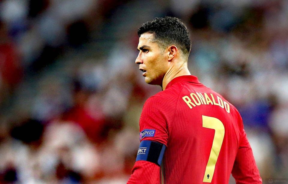 追踪背心 追踪背心